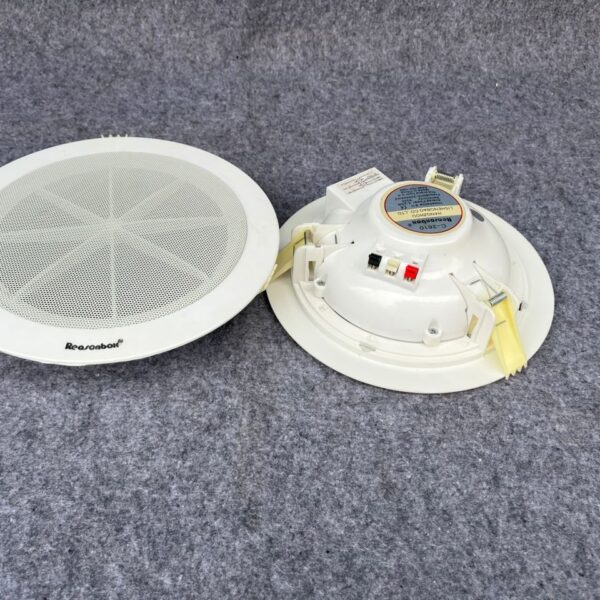 Ceiling Speaker -6